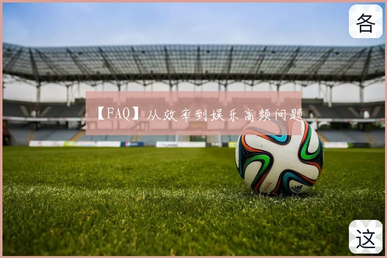 【FAQ】从效率到娱乐高频问题
