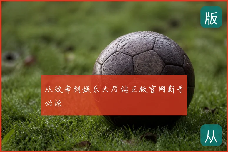 从效率到娱乐大厅站正版官网新手必读
