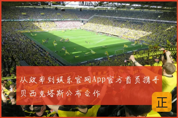 从效率到娱乐官网App官方首页携手贝西克塔斯公布合作